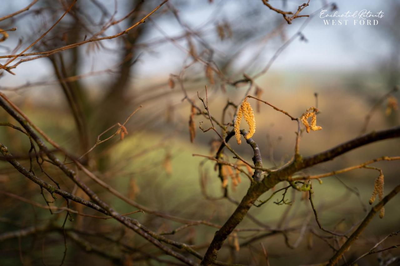 Enchanted Retreats At West Ford Devon 사우스몰튼 외부 사진