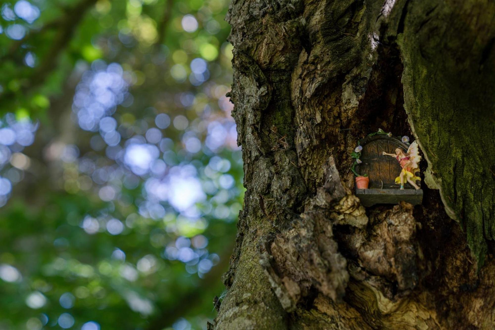 Enchanted Retreats At West Ford Devon 사우스몰튼 객실 사진